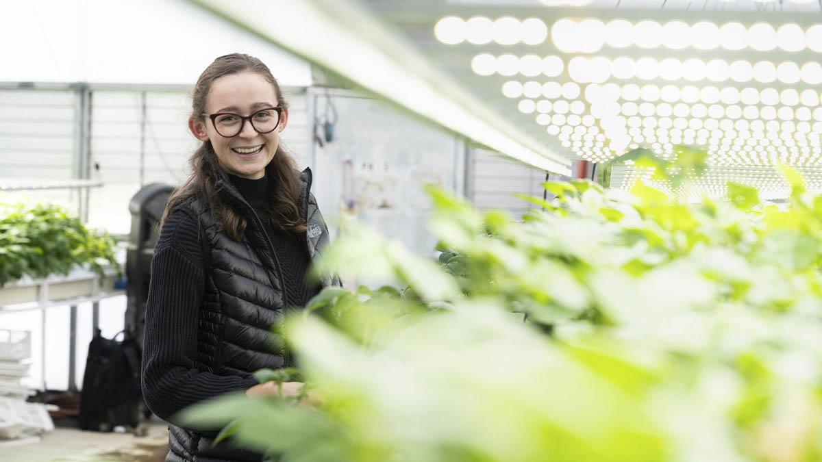 A woman stands next to potato plantlets in a greenhouse.