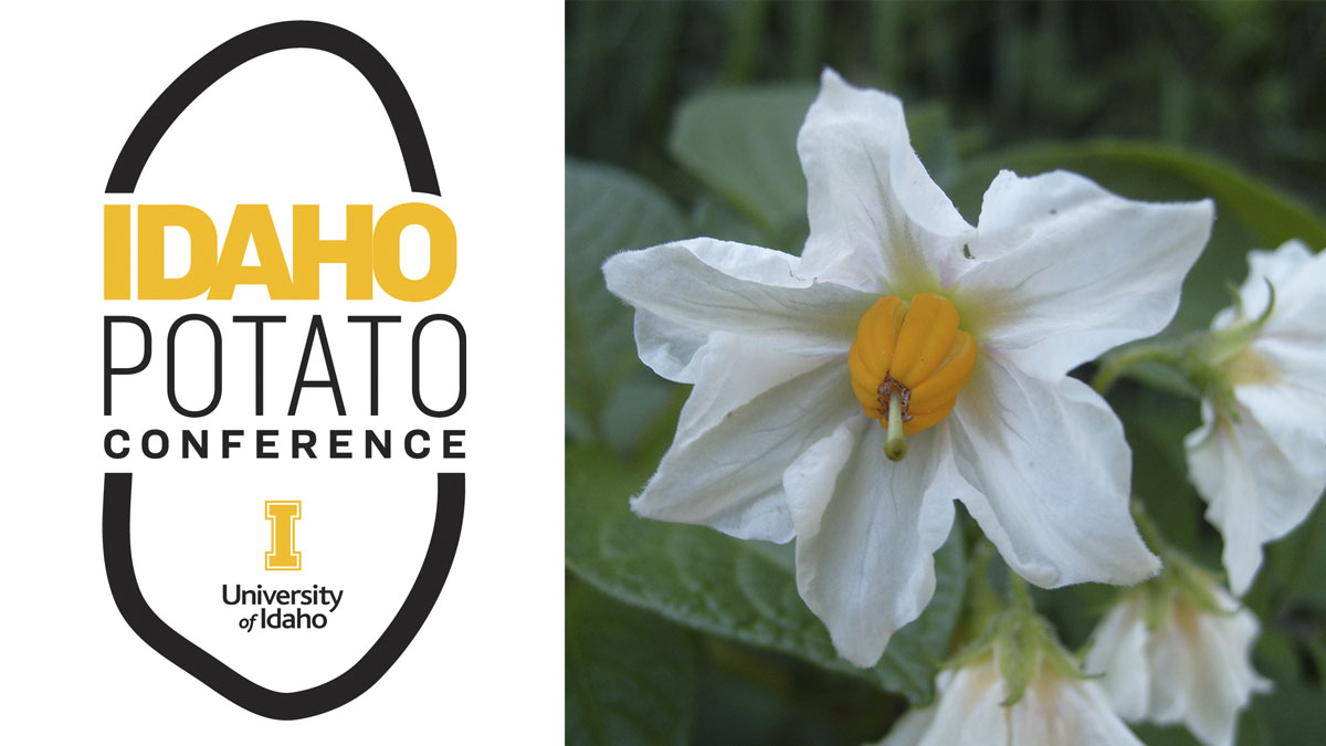 potato conference logo and potato bloom