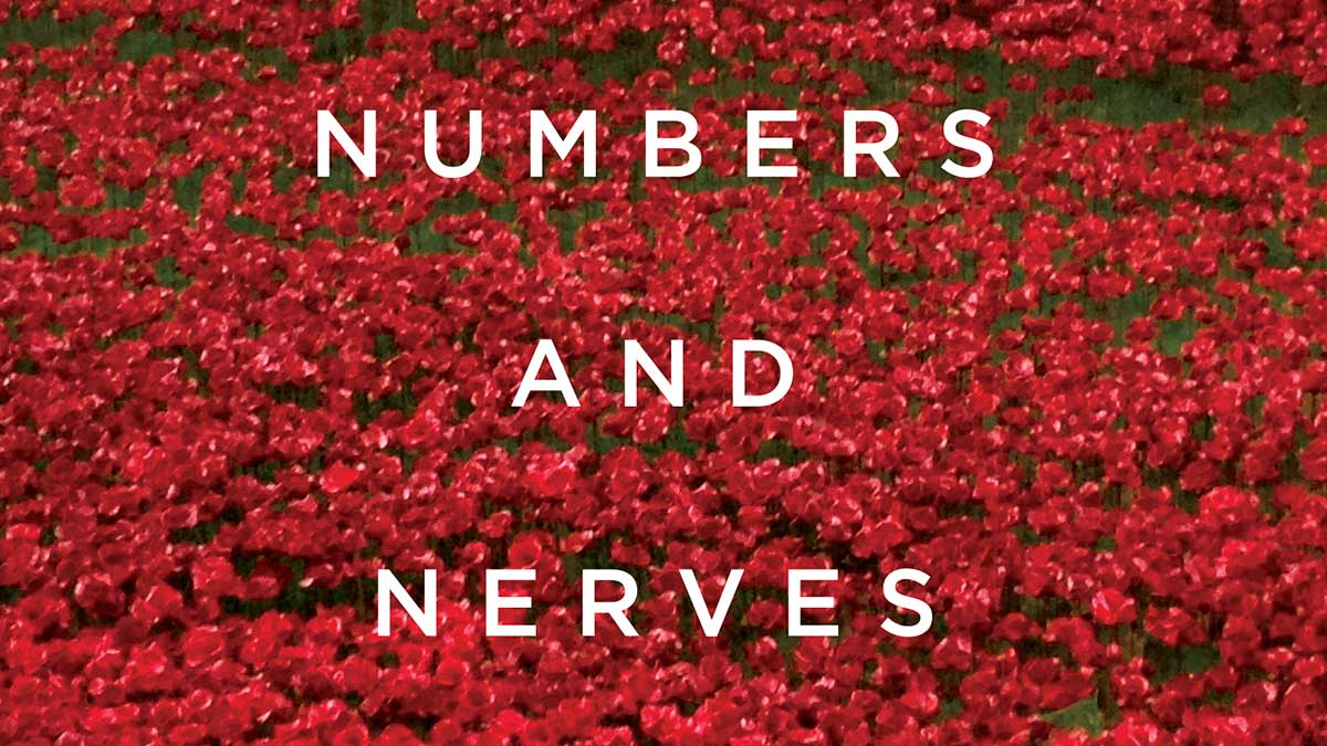 Numbers and Nerves book cover