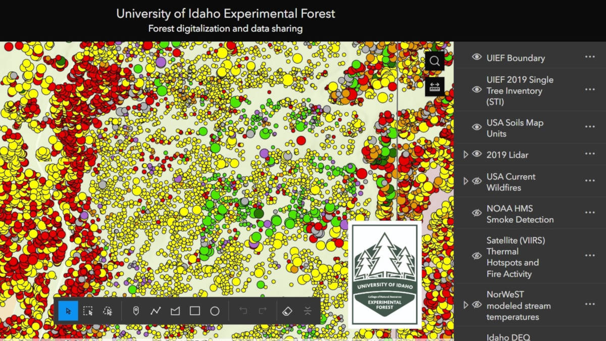 Forest digitization and data sharing