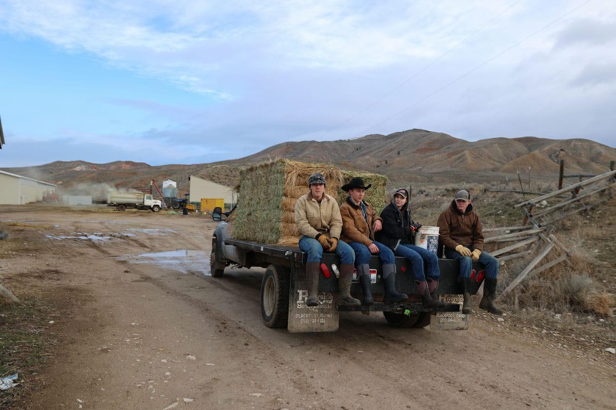 Ranch hands ride on the back of a hay-filled truck.
