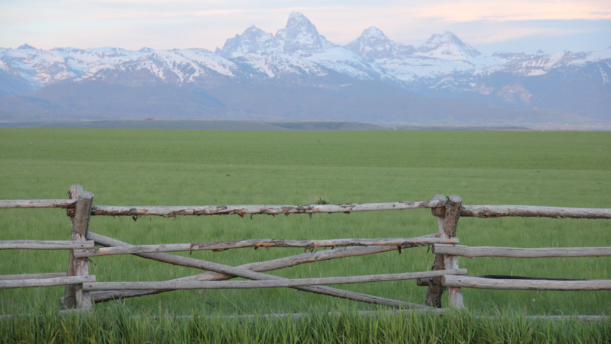 The landscape view of a field of grass and the Teton mountains in Teton County