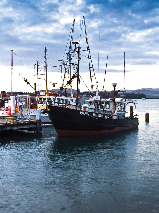 Fishing Boat Moored in New Zealand