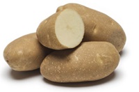 Highland Russet Potato