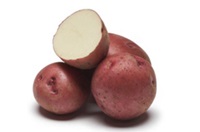 Idarose Potato