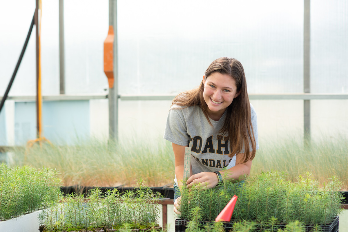 A student works in the nursery.