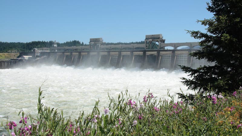 Water Resources Ph D University Of Idaho