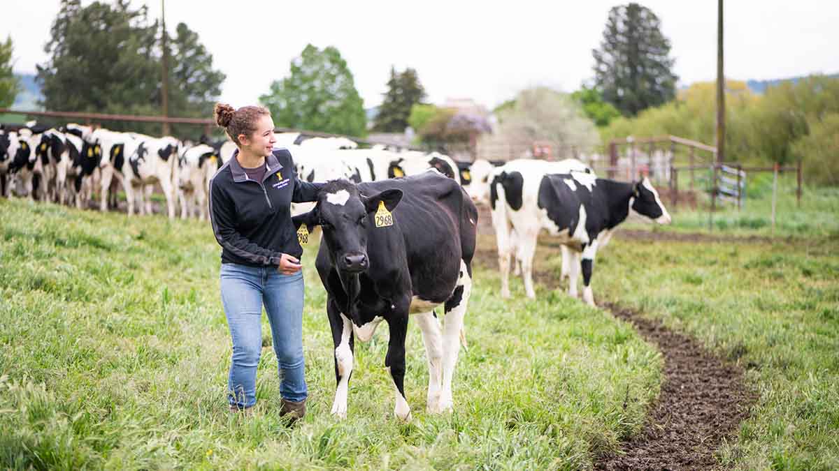 Animal & Veterinary Science: Dairy - University of Idaho