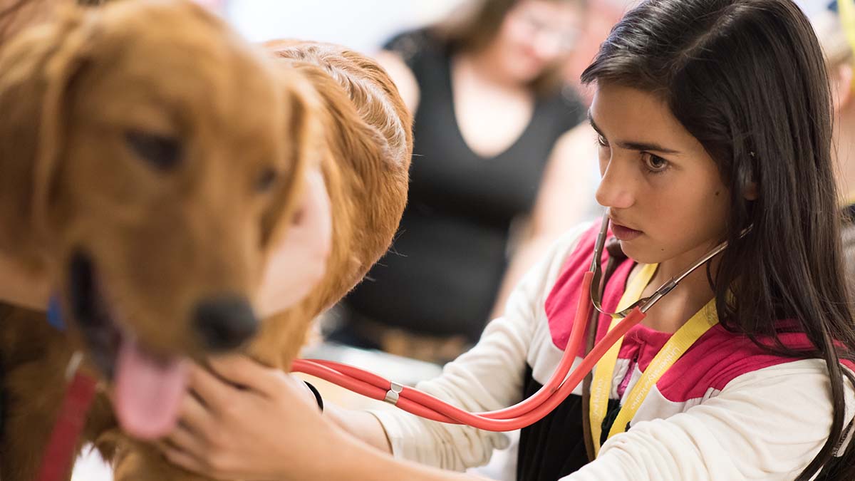Animal & Veterinary Science: Science/Pre-Veterinary - University of Idaho Animal & Veterinary Science: Science/Pre-Veterinary - University of Idaho