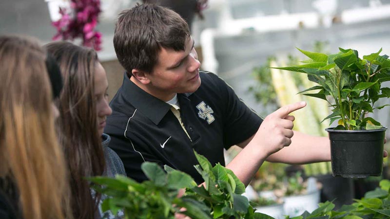 Plant Pathology, M.S. - University of Idaho