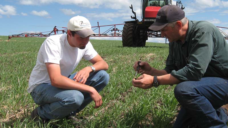 phd agricultural extension