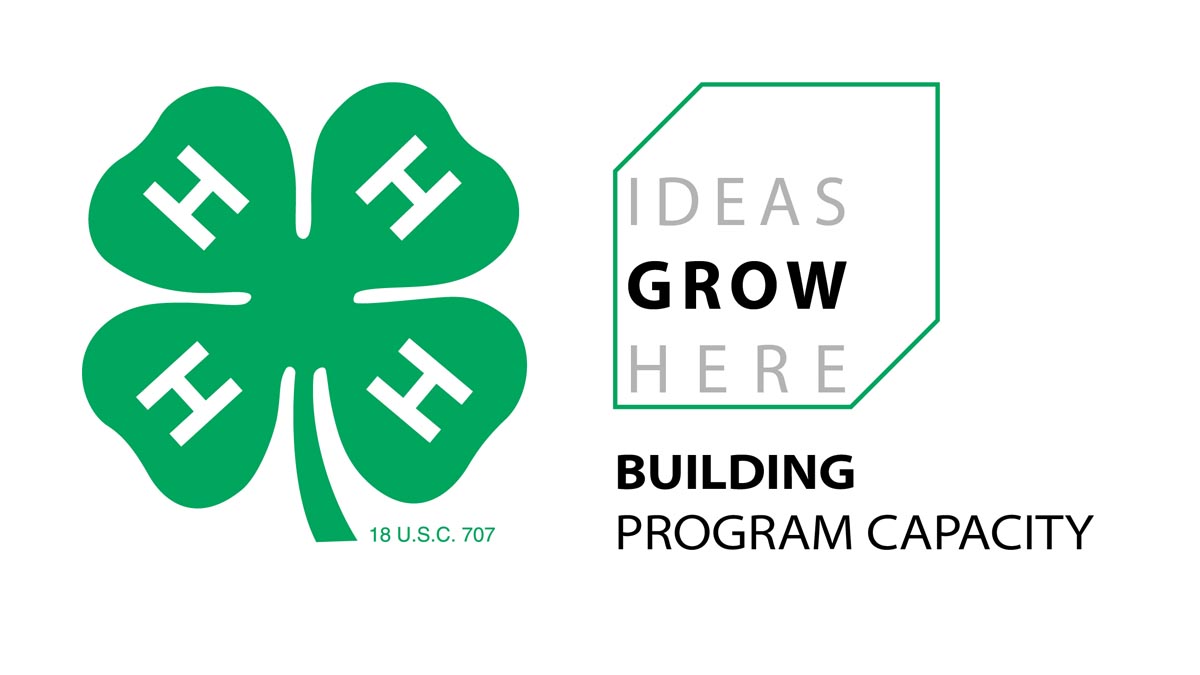 ideas grow here building program capacity graphic
