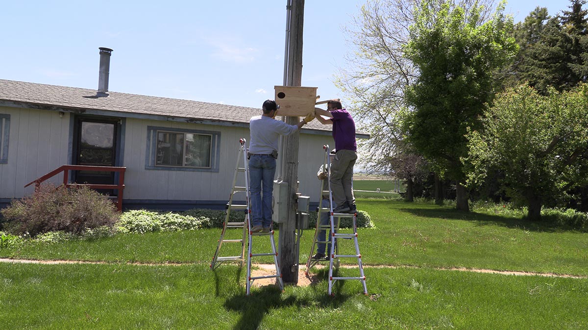 Two men on ladders attaching box to pole