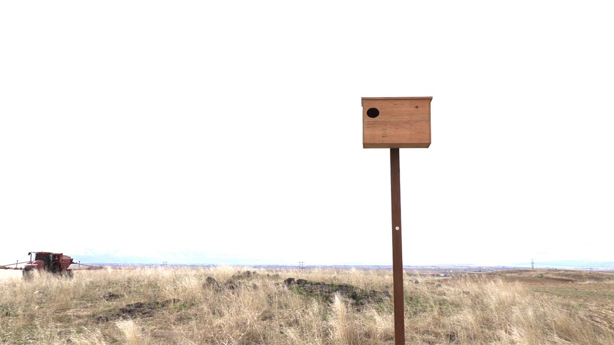 A wooden box on a pole.