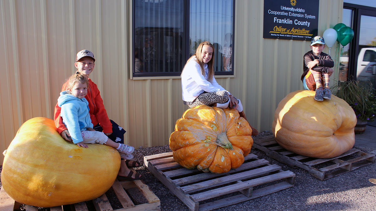 2020 winners of the 4-H Giant Pumpkin Growing Contest 