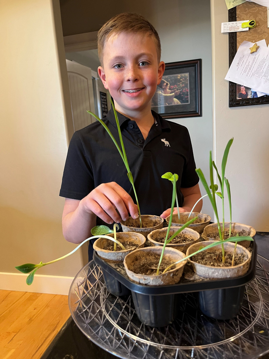 Young boy poses with plant sprouts.