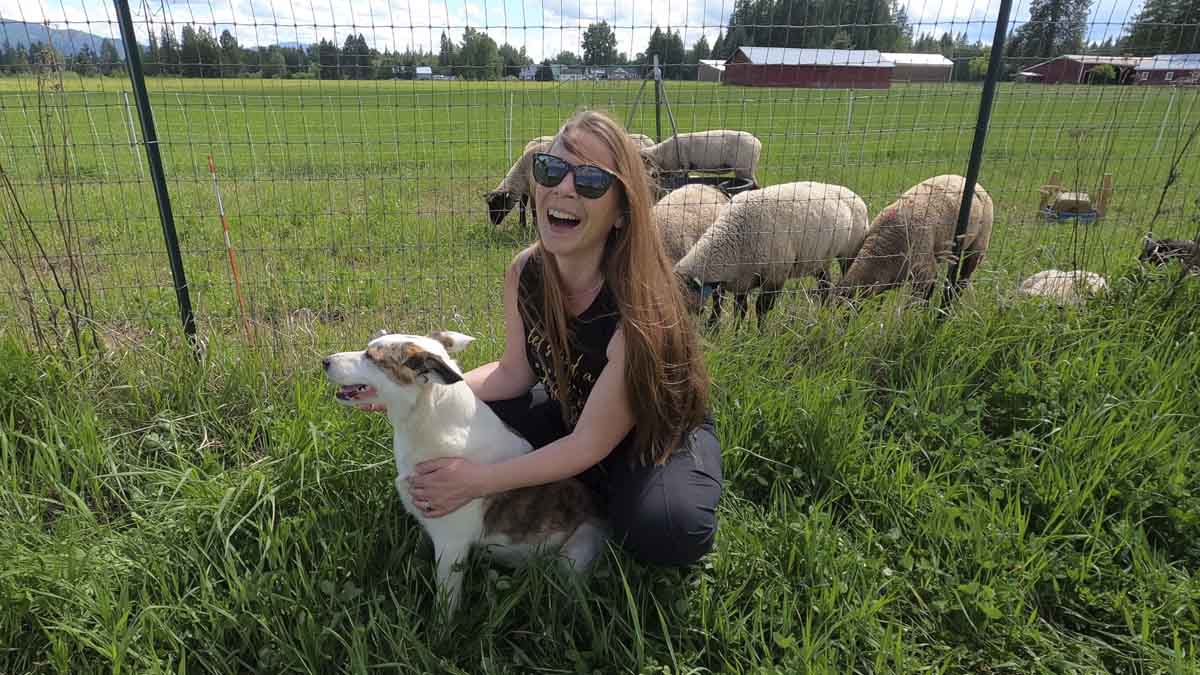 A woman pets a dog in a field surrounded by sheep.