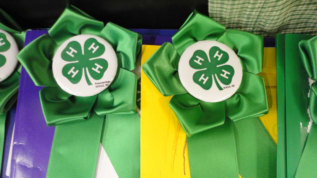 University of idaho extension 4 h youth development