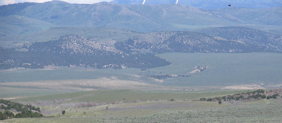 rangeland landscape on the Fort Hall reservation