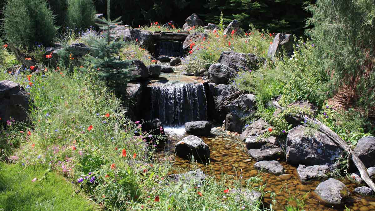 A flower garden and water element in landscaping