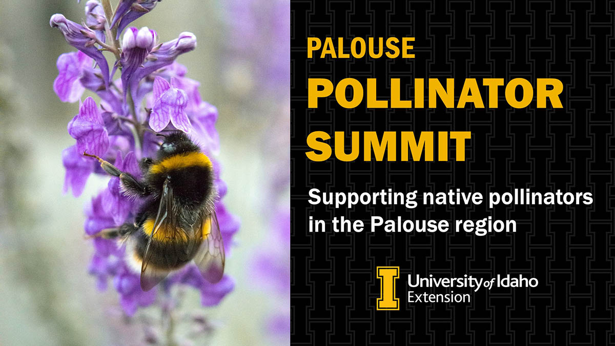 Palouse Pollinator Summit video graphic.