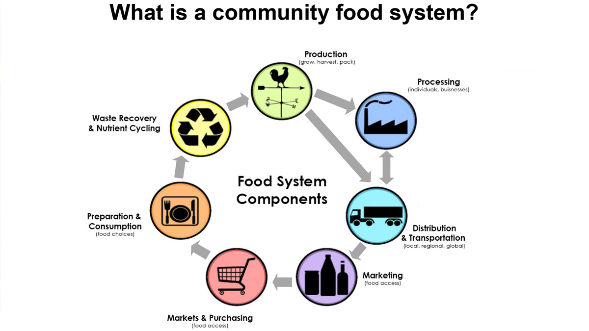 What is a community food system? Components include production (grow, harvest, pack), which feeds into processing (individuals and businesses) and distribution & transportation (local, regional, global). These feed into food access components of marketing and markets & purchasing, then to food choices (preparation & consumption). Finally, waste recovery & nutrient cycling flow back into production.