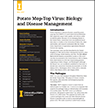 Potato Mop-Top Virus: Biology and Disease Management