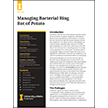 Managing Bacterial Ring Rot of Potato