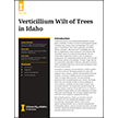 Verticillium Wilt of Trees in Idaho