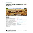 Managing Salt-affected Soils for Crop Production