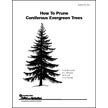 How To Prune Coniferous Evergreen Trees