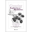 Growing Raspberries and Blackberries in the Inland Northwest & Intermountain West