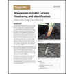 Wireworms in Idaho Cereals: Monitoring and Identification