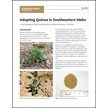 Adopting Quinoa in Southeastern Idaho