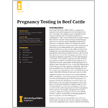 Pregnancy Testing in Beef Cattle