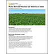Potato Seed Certification and Selection in Idaho