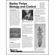 Barley Thrips Biology and Control