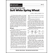 Northern Idaho Fertilizer Guide: Soft White Spring Wheat