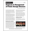 Diagnosis and Management of Potato Storage Diseases
