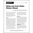 Bitterroot Soft White Winter Wheat