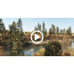 Urban Greenspaces for Clean Water