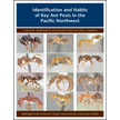 Identification and Habits of Key Ant Pests in the Pacific Northwest