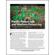 Pacific Poison-oak and Western Poison-ivy: Identification and Management