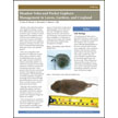 Meadow Voles and Pocket Gophers: Management in Lawns, Gardens, and Croplands