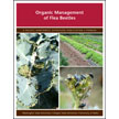 Organic Management of Flea Beetles