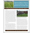 Camelina: Effects of Planting Date and Method on Stand Establishment and Seed Yield