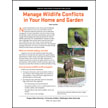 Manage Wildlife Conflicts in Your Home and Garden
