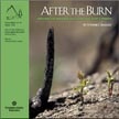 After the Burn: Assessing and Managing Your Forestland after a Wildfire