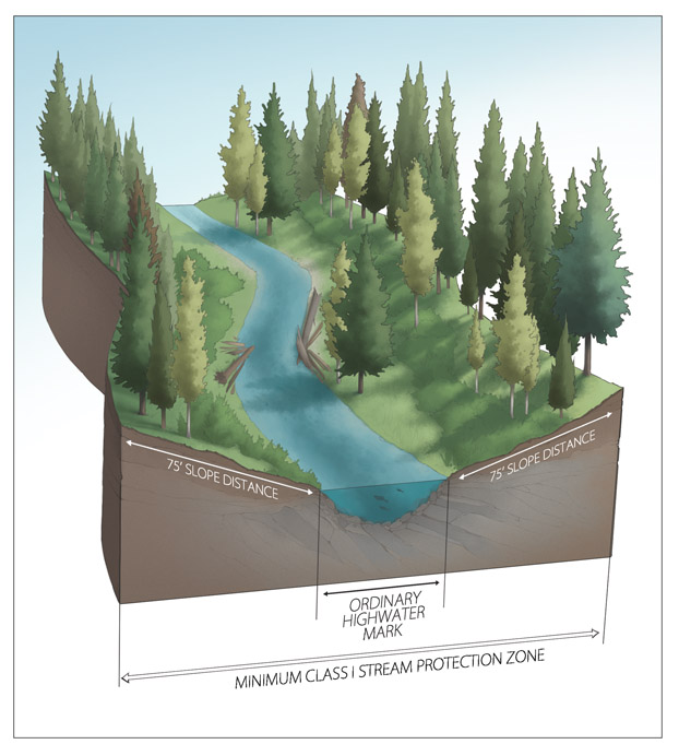 Class I stream protection zone