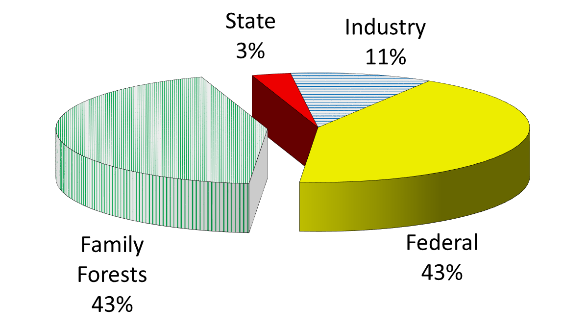 43% of forest acres in Benewah County are family forests. 43% are Federal lands, 11% owned by industry and 3% state lands.